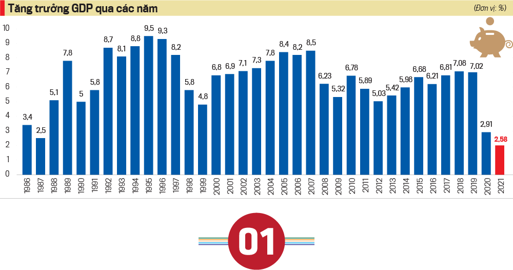 Việt Nam sẽ một lần nữa vươn lên trở thành con hổ châu Á - Ảnh 2