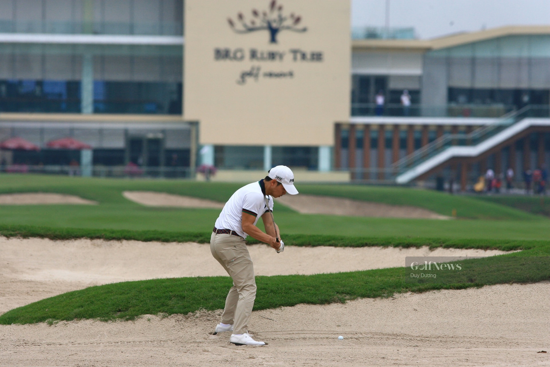 Nguyễn Thái Dương: Mãnh hổ khát khao phát triển golf Chuyên nghiệp Việt Nam - Ảnh 2.