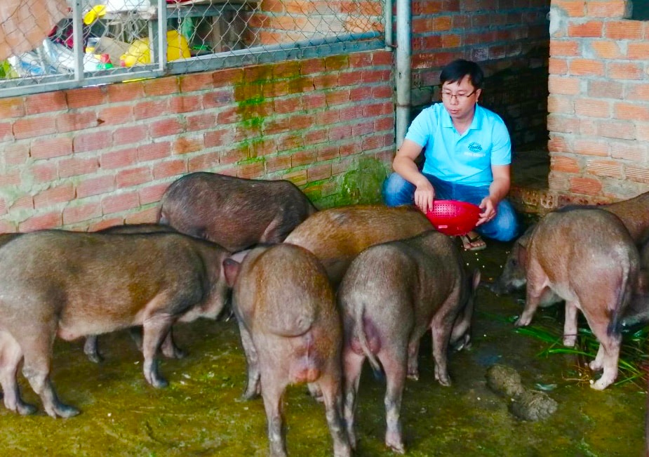 Quản lý chăn nuôi trên nền tảng số