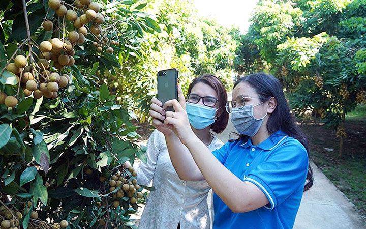 Tạo đà bứt phá phát triển thương mại điện tử -0