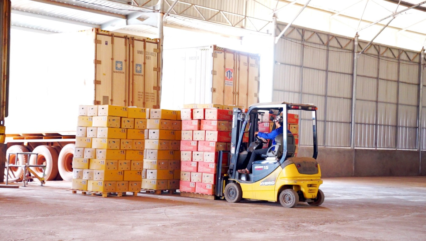 Giải pháp Logistics qua Cửa khẩu quốc tế Nam Giang cho doanh nghiệp Việt, Lào - Ảnh 4.