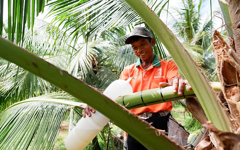 Ứng dụng công nghệ số trong tiêu thụ, phát triển sản phẩm OCOP -0