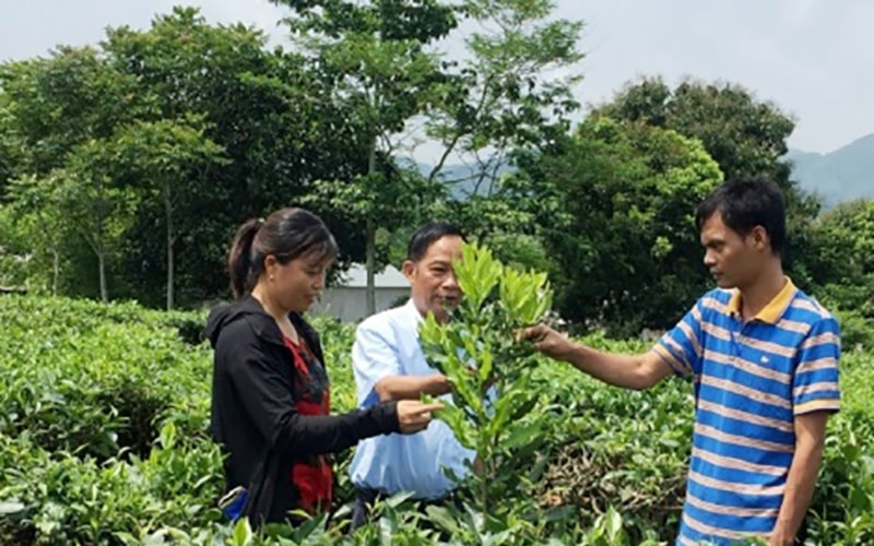 Tạo chuyển biến cho nông sản  từ ứng dụng khoa học-công nghệ