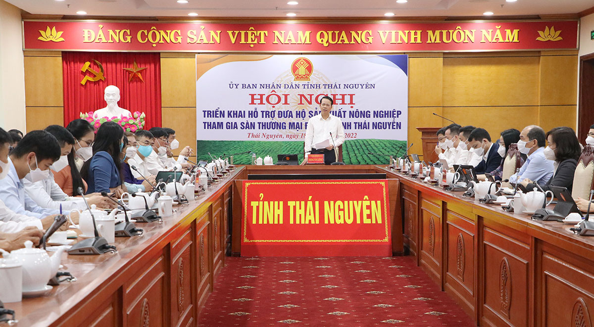 Hơn 60.000 hộ sản xuất nông nghiệp Thái Nguyên được đào tạo kỹ năng số - Ảnh 2.