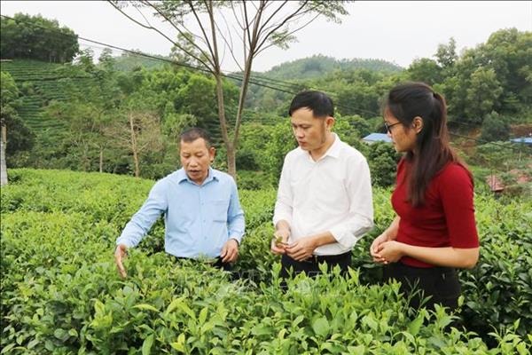 Thái Nguyên hỗ trợ tiêu thụ nông sản trên sàn thương mại điện tử