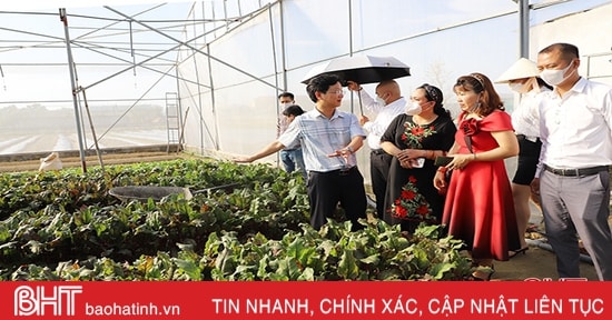 Cơ hội hợp tác chuyển đổi số cho các mô hình nông nghiệp đô thị TP Hà Tĩnh