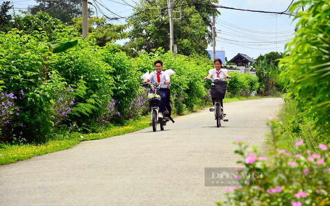 Đường giao thông nông thôn ở xã Bạch Đằng, TX.Tân Uyên. Ảnh: Minh Khoa