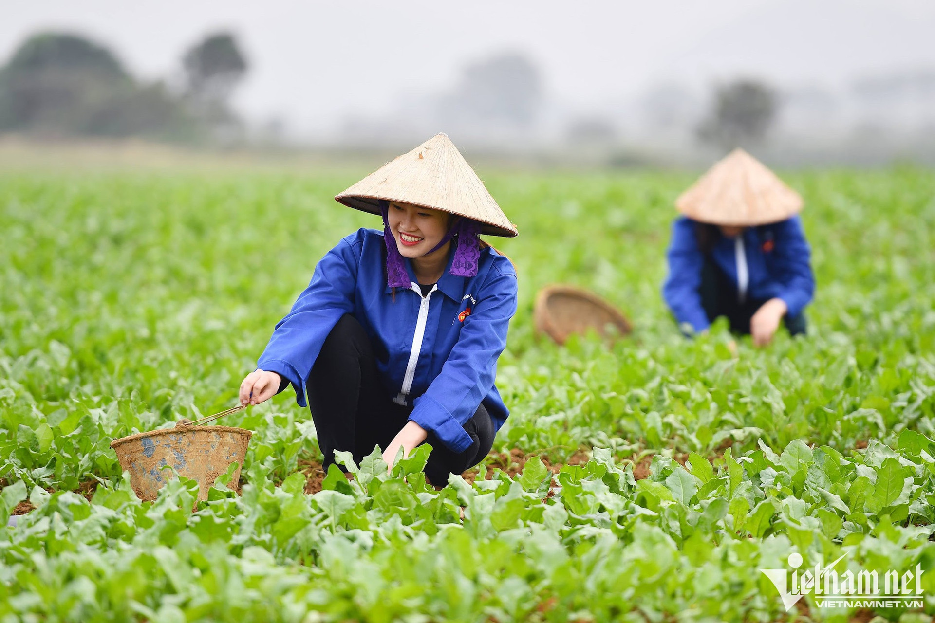 Tăng cường đào tạo nghề cho nông dân. Ảnh minh họa, nguồn: Vietnamnet
