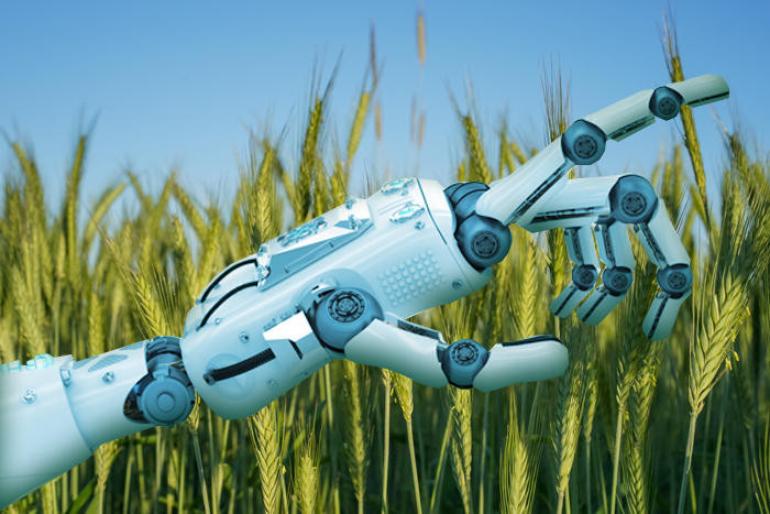 Áp dụng trí tuệ nhân tạo (AI) trong nông nghiệp sẽ cải thiện năng suất và đem lại sản lượng cao và nhanh hơn. Ảnh minh họa