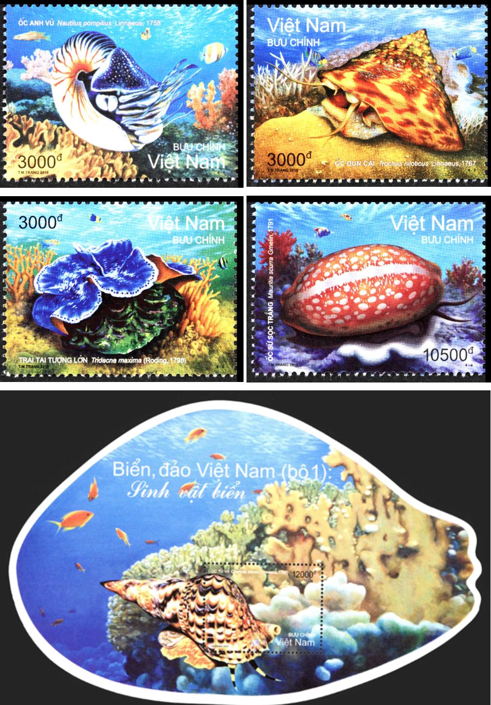 Sắp phát hành bộ tem biển đảo thứ 3 - Ảnh 2.