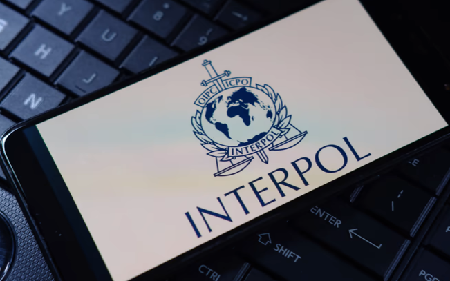 Interpol bắt giữ hàng nghìn tội phạm mạng