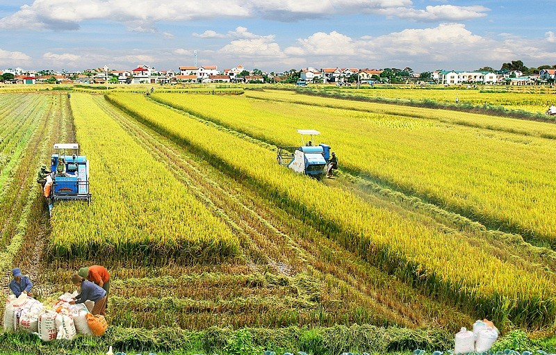 Ngành nông nghiệp Việt Nam đảm bảo mục tiêu về an ninh lương thực và xuất khẩu - Ảnh 1.