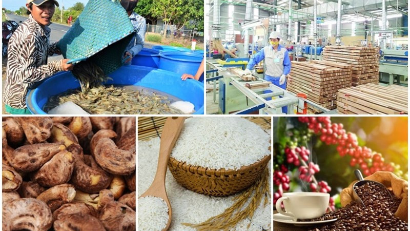 Tiếp tục tăng cường trao đổi thương mại nông sản giữa Việt Nam và EU trong tương lai - Ảnh 1.
