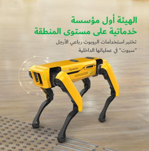 Nâng cao hiệu quả quản lý nước về điện và nước tại Dubai với AI - Ảnh 2.