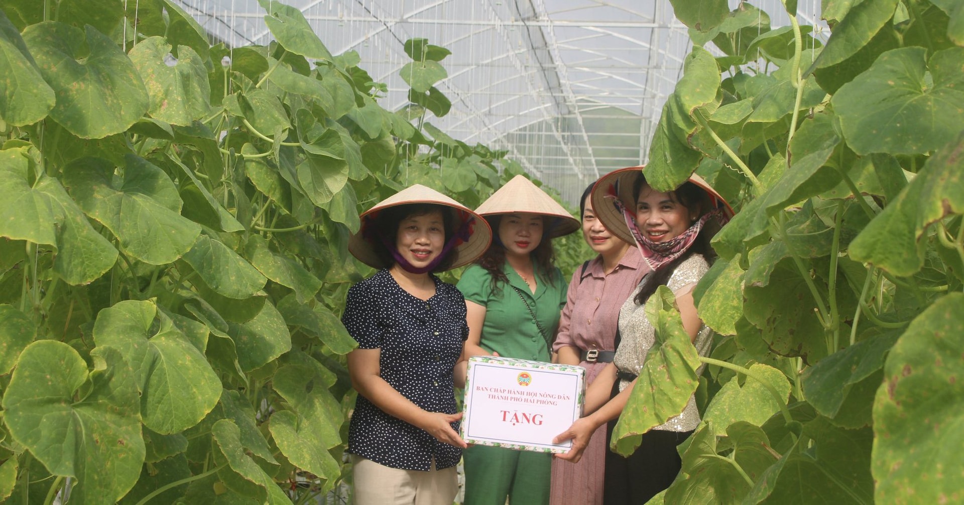 Hội Nông dân Hải Phòng tập huấn chuyển đổi số trong nông nghiệp, tặng camera giám sát cho nông dân