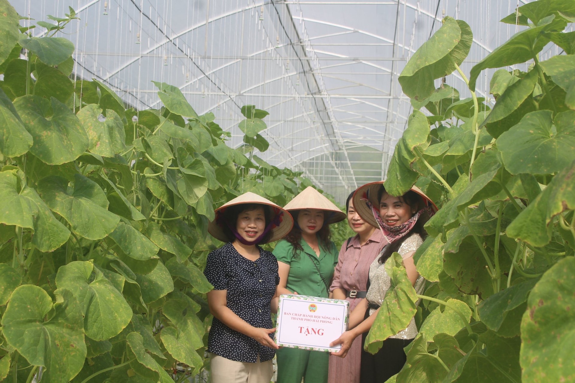 Hội Nông dân Hải Phòng: Tập huấn thực hiện chuyển đổi số trong nông nghiệp và tặng camera giám sát cho nông dân - Ảnh 2.