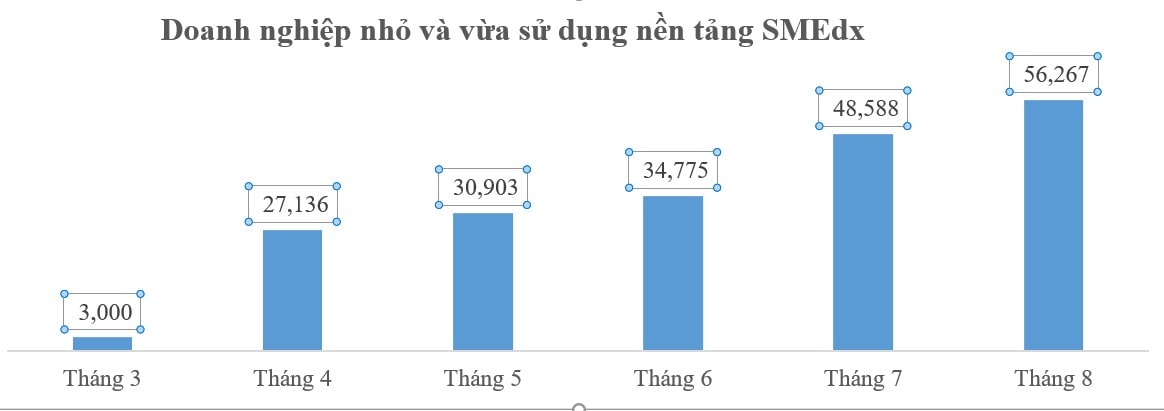 Gần 380 nghìn doanh nghiệp đã được tiếp cận các nền tảng số Make in Việt Nam - Ảnh 2