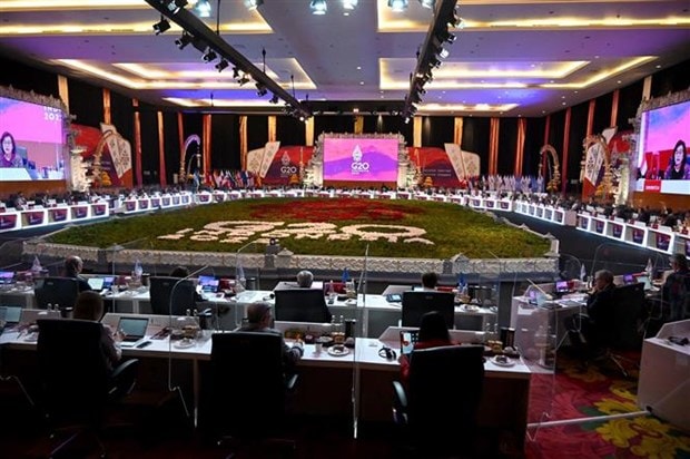 G20 dong thuan thuc day kinh te so nham phuc hoi hau dai dich hinh anh 1