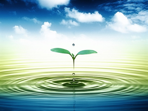 Bảo vệ nguồn tài nguyên nước bền vững - Ảnh 1.