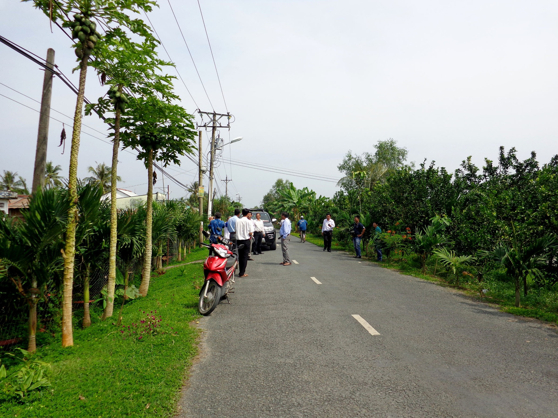 Hậu Giang phát triển du lịch nông thôn  - ảnh 1