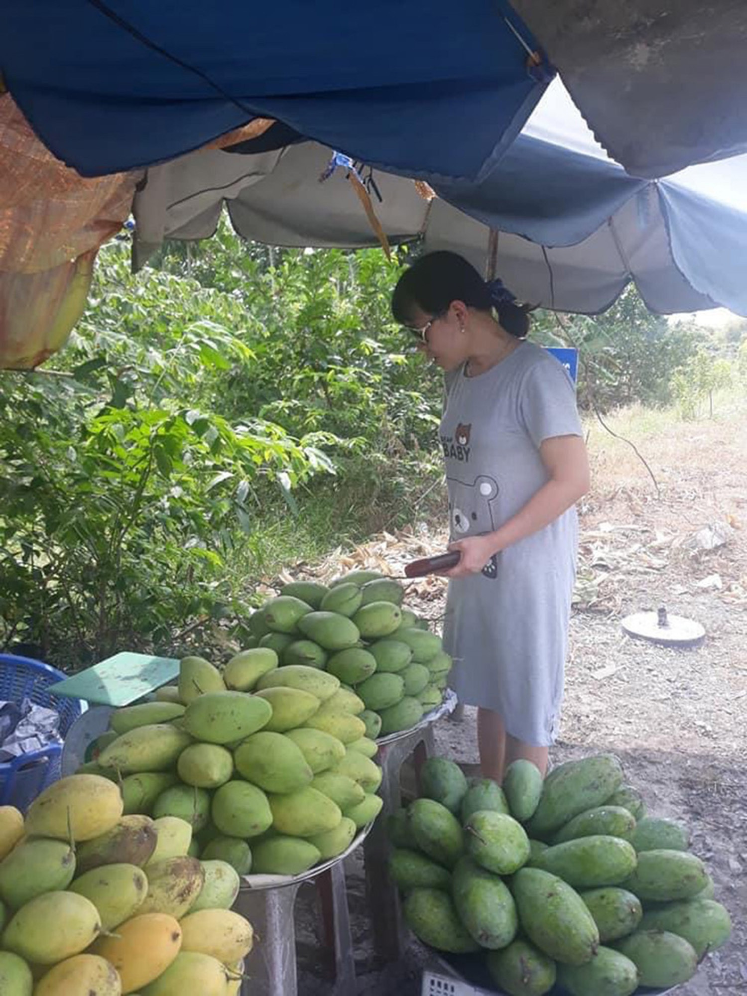 Hậu Giang phát triển du lịch nông thôn  - ảnh 2