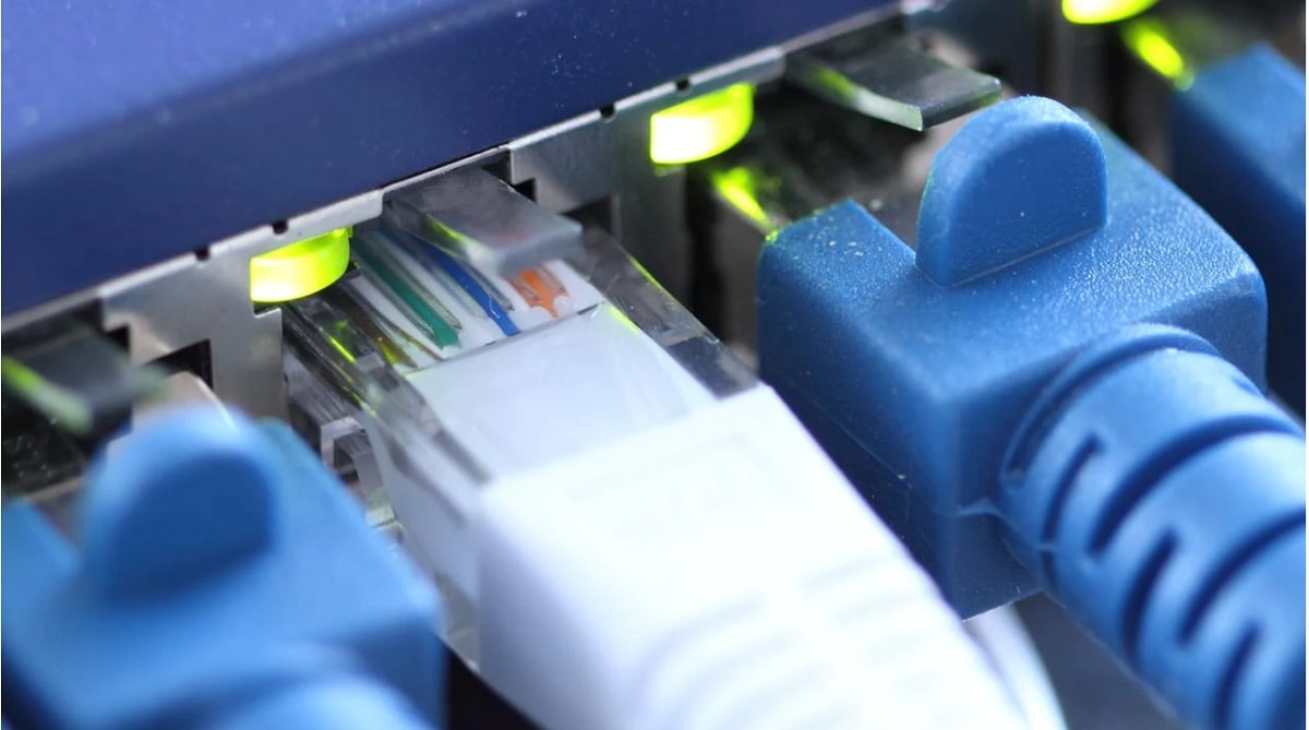 australia dau dau voi tan cong mang hinh anh 2