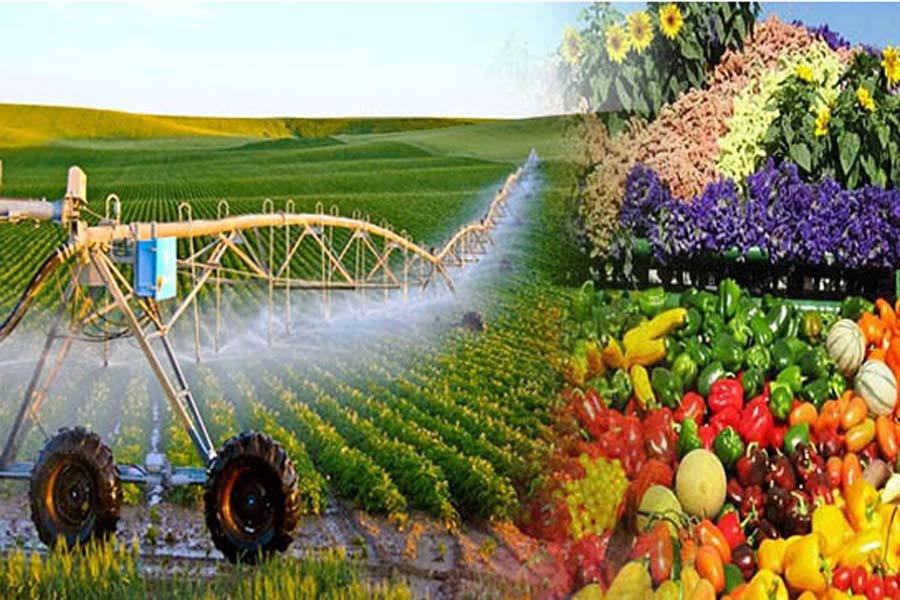 Phát triển nông nghiệp hữu cơ, góp phần ứng phó biến đổi khí hậu - Ảnh 1.