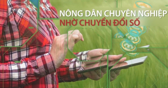 Nông dân chuyên nghiệp nhờ làm chủ không gian số