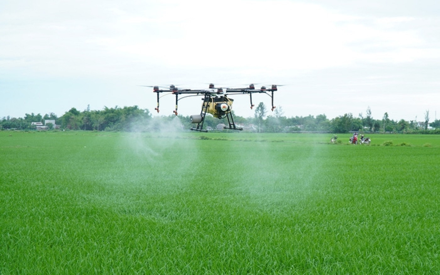 Năm 2025, đưa giá trị sản phẩm nông nghiệp ứng dụng công nghệ cao đạt trên 20% - Ảnh 1.