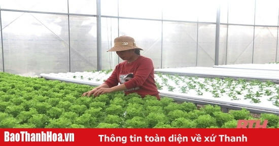 Hiệu quả bước đầu từ sản xuất nông nghiệp thông minh