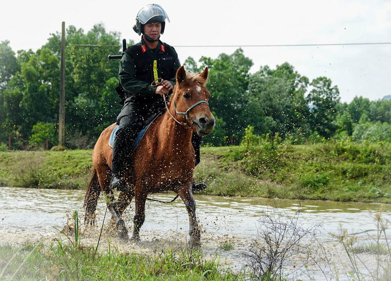 Kỵ binh CSCĐ thuần dưỡng ngựa nơi thao trường đầy nắng gắt - Ảnh 9.