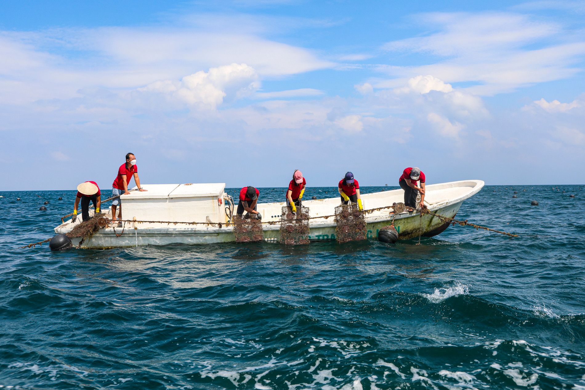 “Đột nhập” xem ngư dân Phú Quốc khai thác kho ngọc tiền tỉ nằm dưới biển - Ảnh 3.
