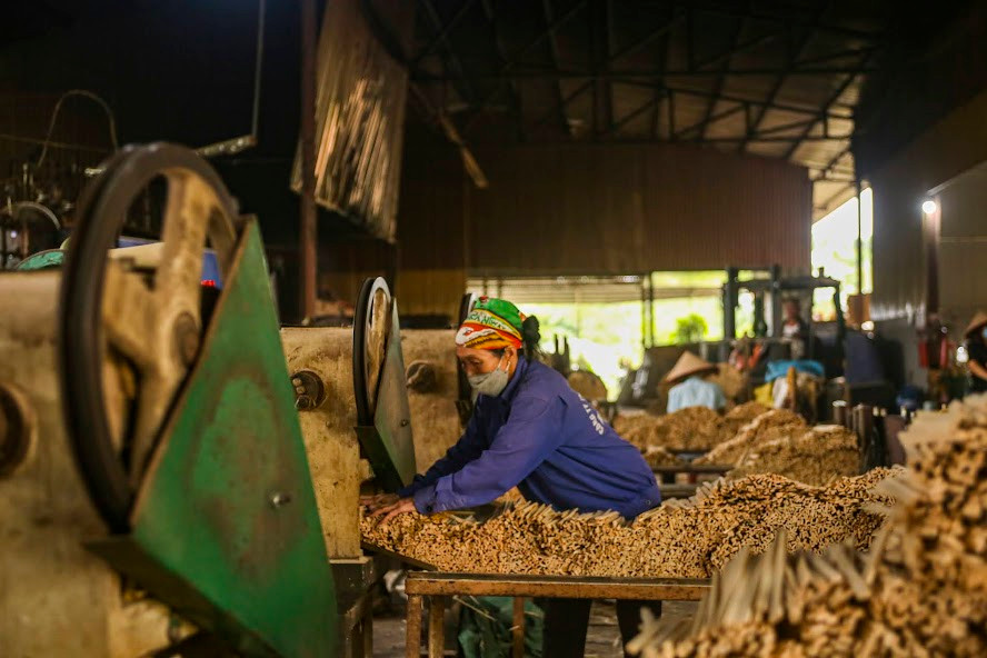9X xuất hàng triệu đôi đũa gỗ từ làng đi Hàn, Nhật thu về hàng tỷ đồng mỗi năm - Ảnh 3.