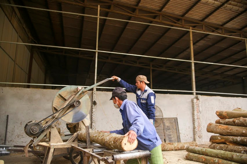 9X xuất hàng triệu đôi đũa gỗ từ làng đi Hàn, Nhật thu về hàng tỷ đồng mỗi năm - Ảnh 5.