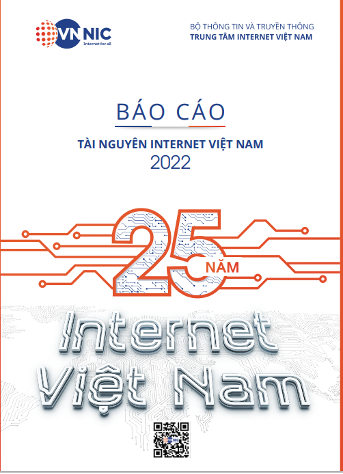 Tài nguyên Internet Việt Nam phát triển vượt bậc sau 25 năm - Ảnh 3.