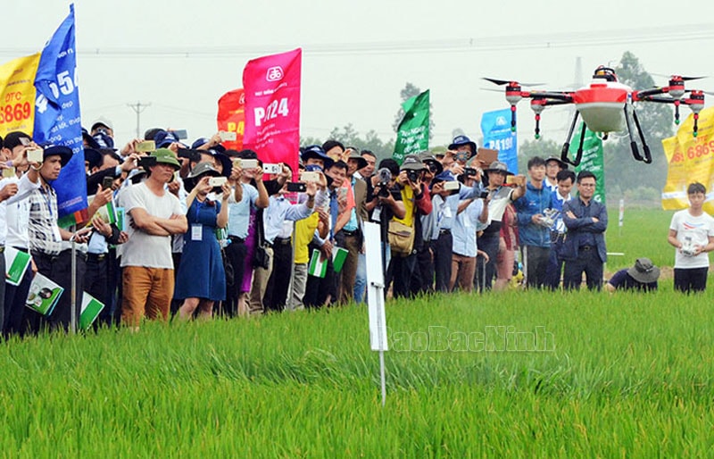 Hỗ trợ nông dân tiếp cận chuyển đổi số Hỗ trợ nông dân tiếp cận chuyển đổi số