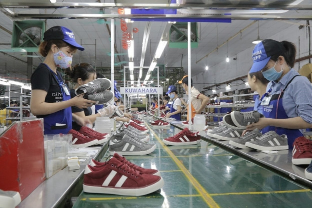EU tăng cường hợp tác trong sản xuất da dày cho Việt Nam  - Ảnh 1.
