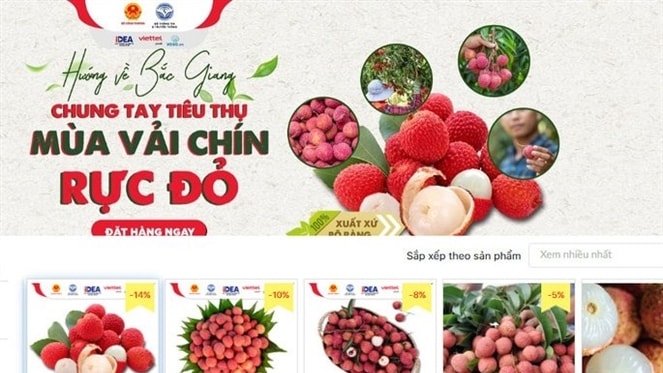 Thúc đẩy chuyển đổi số, hướng tới nông thôn thông minh