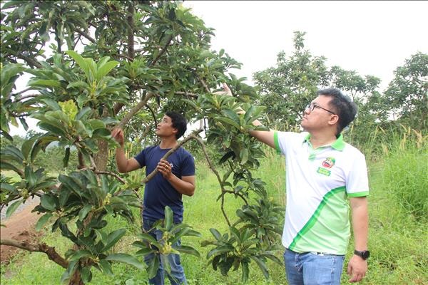 Muốn đi xa phải cùng nhau đi