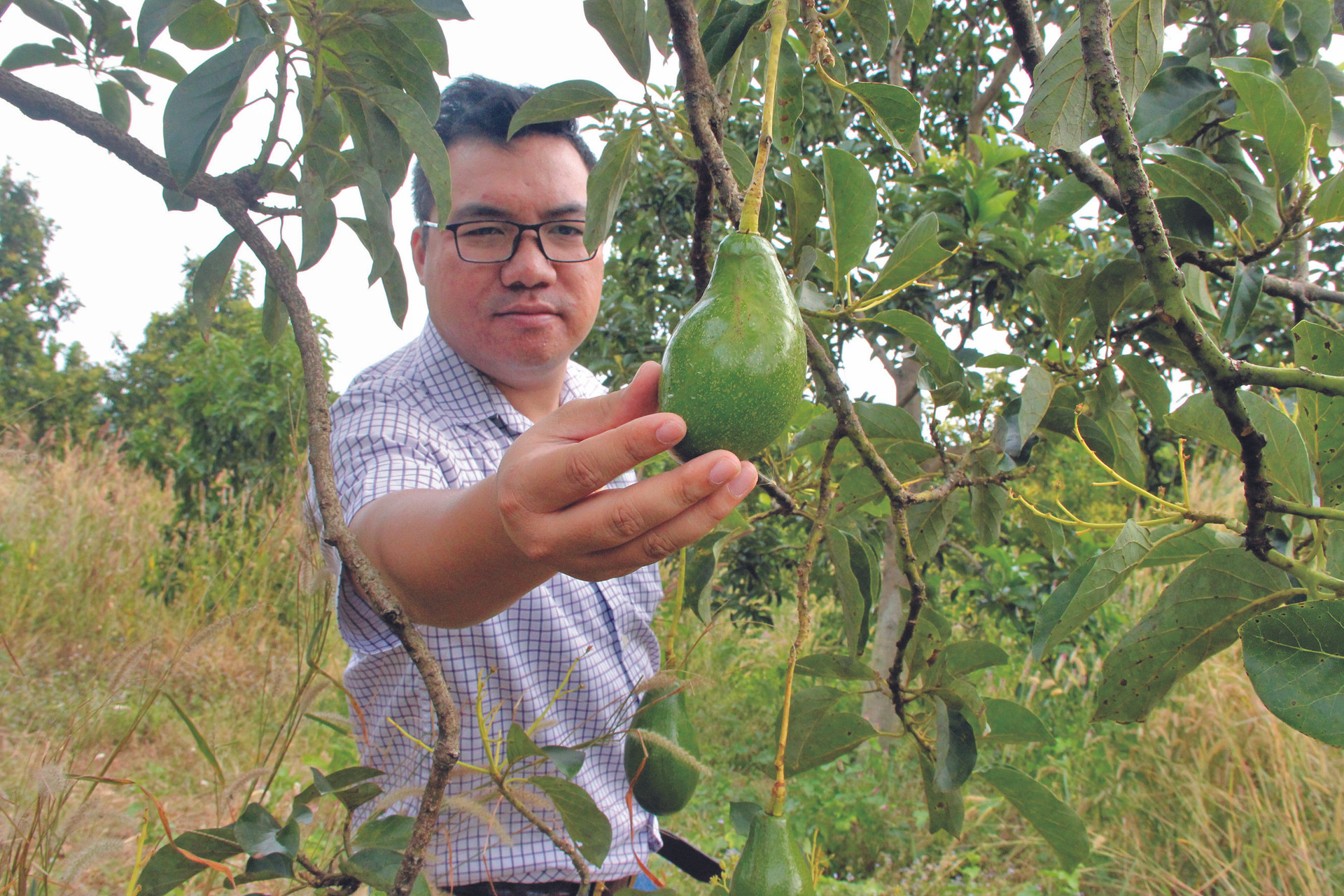 Cùng nắm tay  đi trên "chuyến tàu" nông nghiệp số