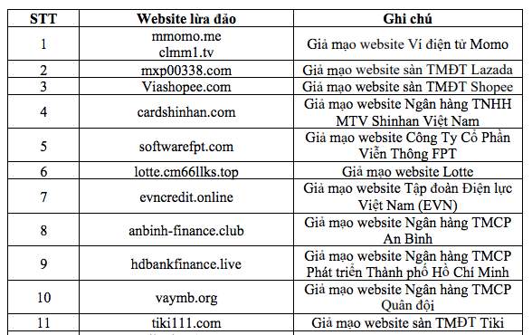 Ví điện tử, ngân hàng, sàn thương mại điện tử liên tục bị giả mạo - 1