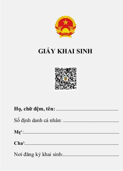 Thí điểm cấp bản điện tử giấy khai sinh, trích lục khai tử ở Hà Nội, Hà Nam - 2