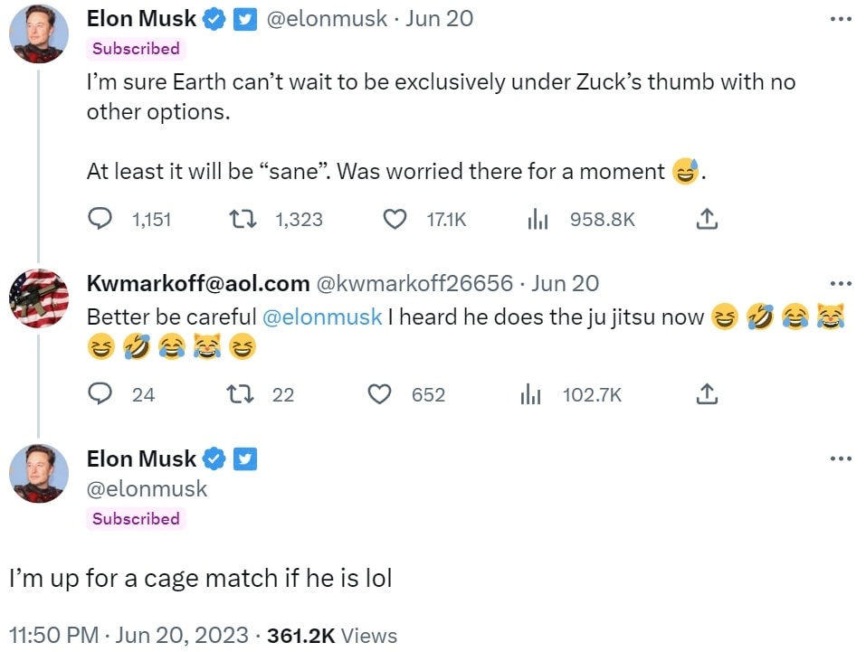 Elon Musk anh 2