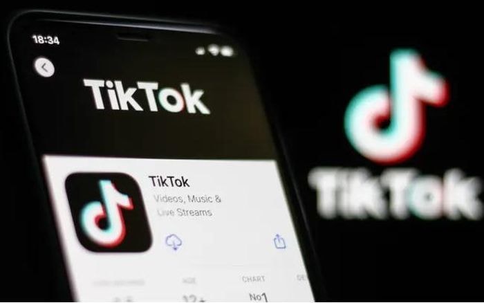 Vì sao Tiktok bị phạt 379 triệu USD ở châu Âu?