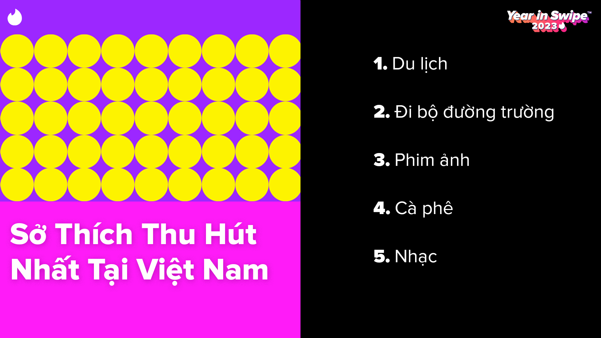 top-so-thich-thu-hut-tai-viet-nam.png