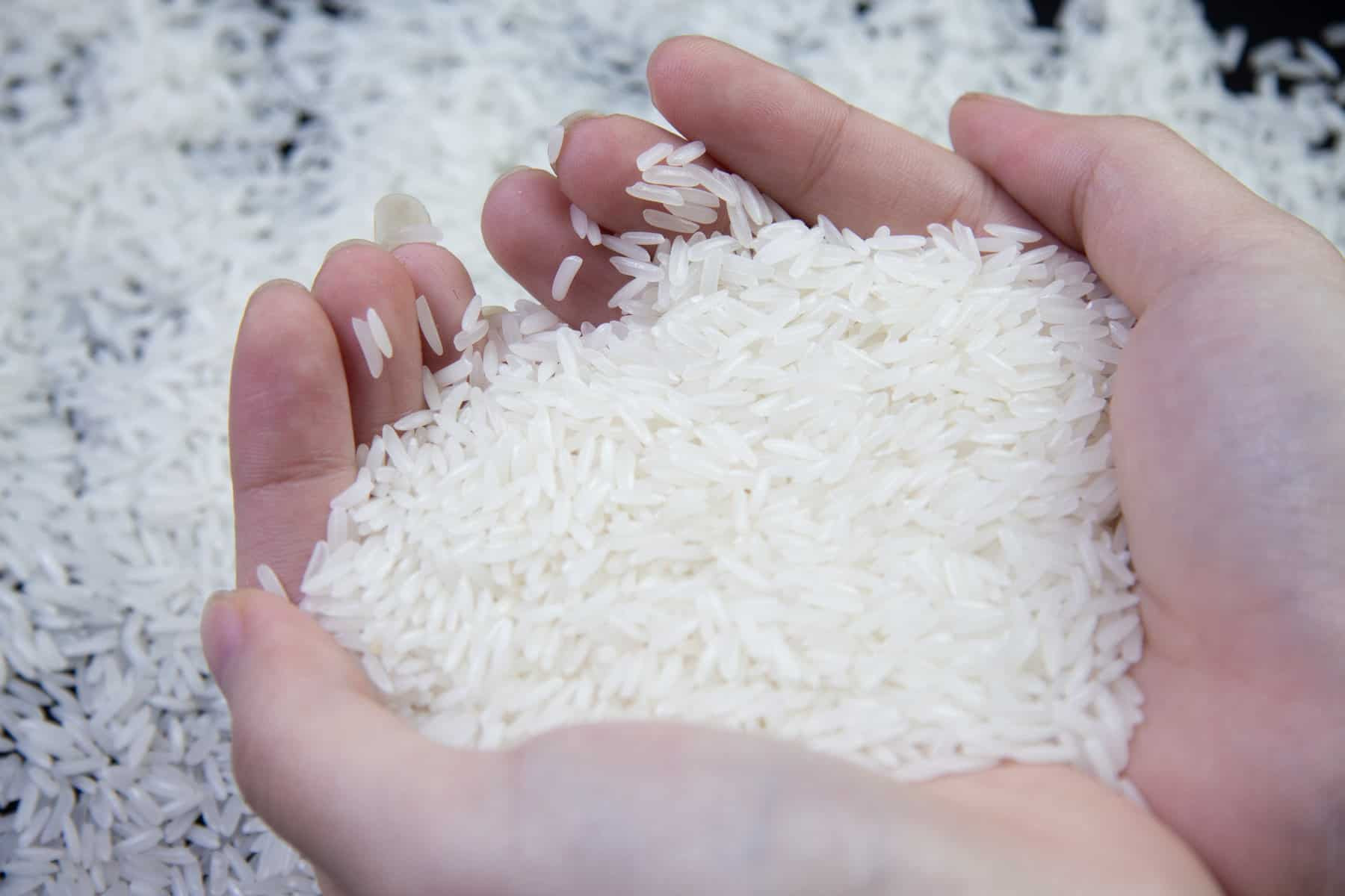Hạt gạo Việt Nam chiếm gần 1/5 tổng sản lượng nhập khẩu của quốc gia láng giềng này