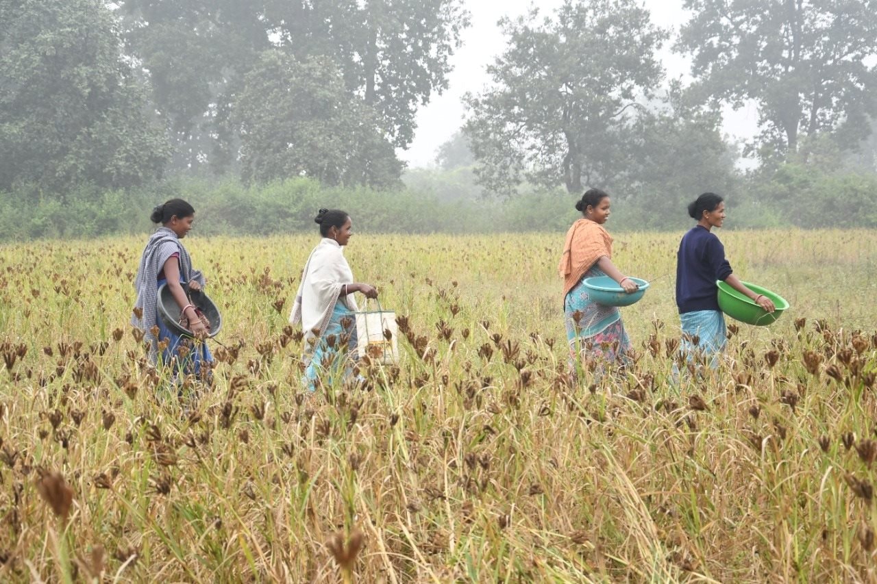 niti-ayog-praises-ragi-laddu-pro.jpg