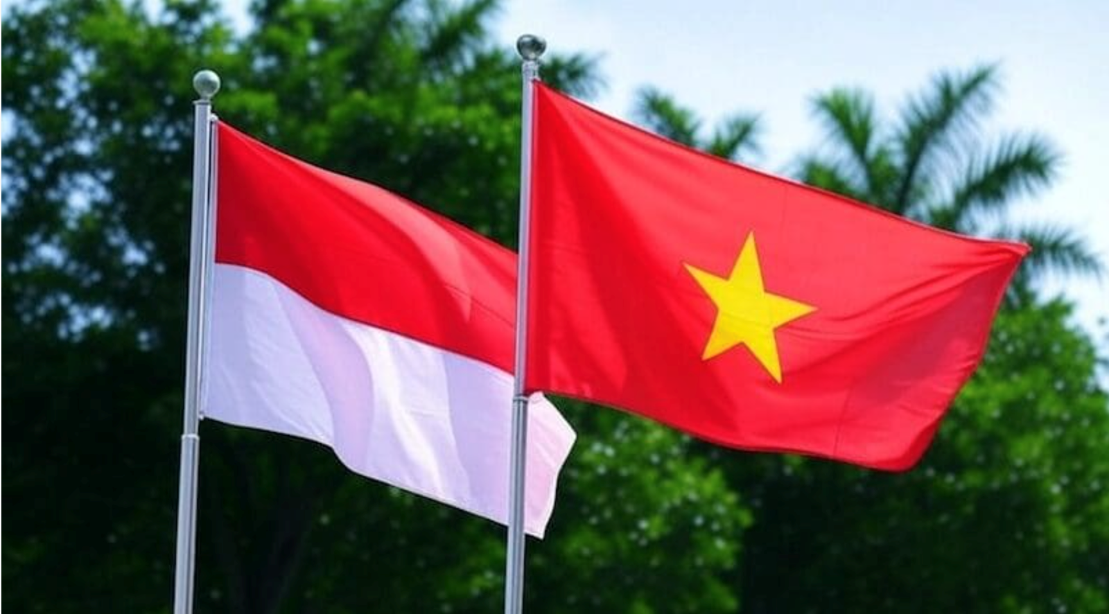 viet-nam-indonesia.png