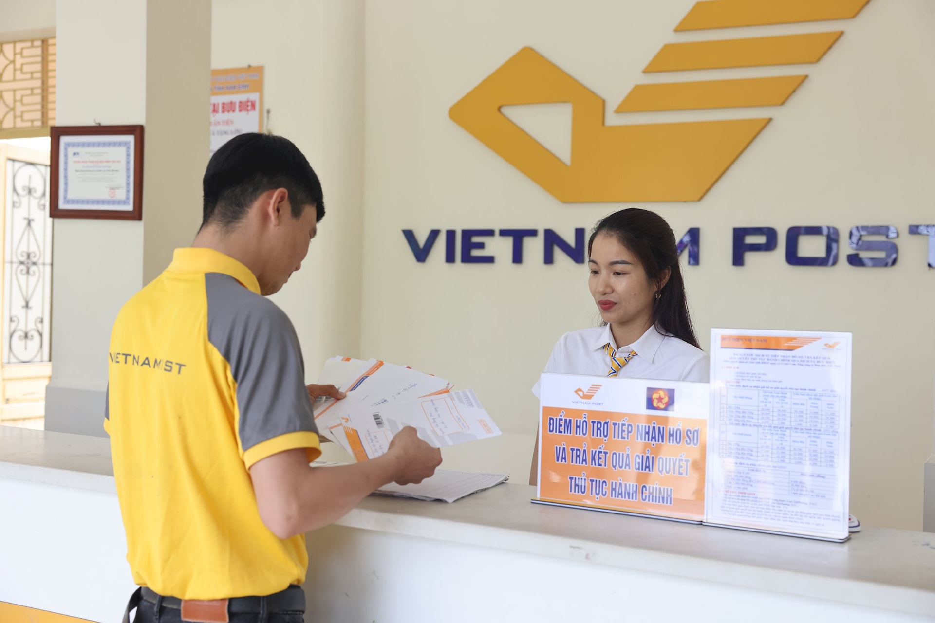 vnp-1-.jpg