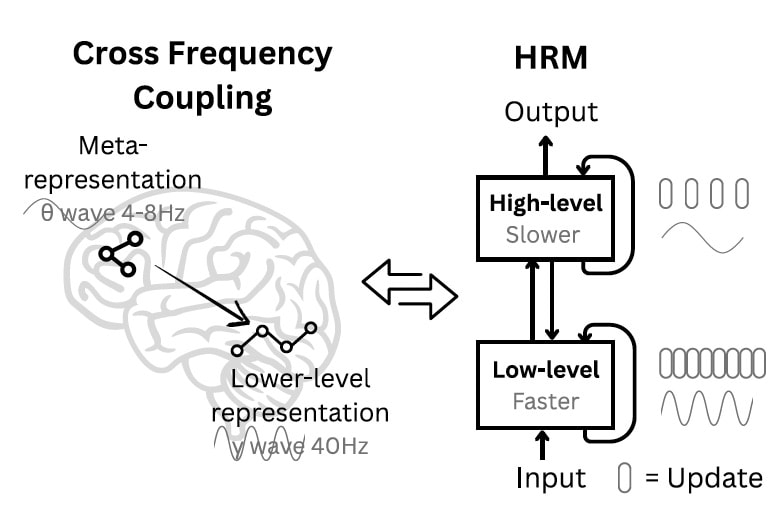 hierarchical reasoning model